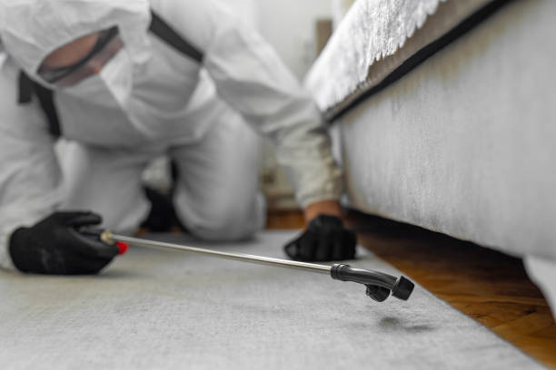 Professional Termite Control technician working in Palmyra, MO