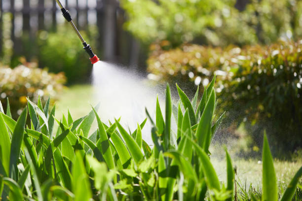 24/7 Emergency Termite Control experts in Palmyra, MO
