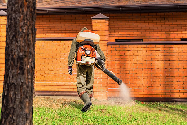 Trusted Termite Control service in Palmyra, MO - Nex Pest Control